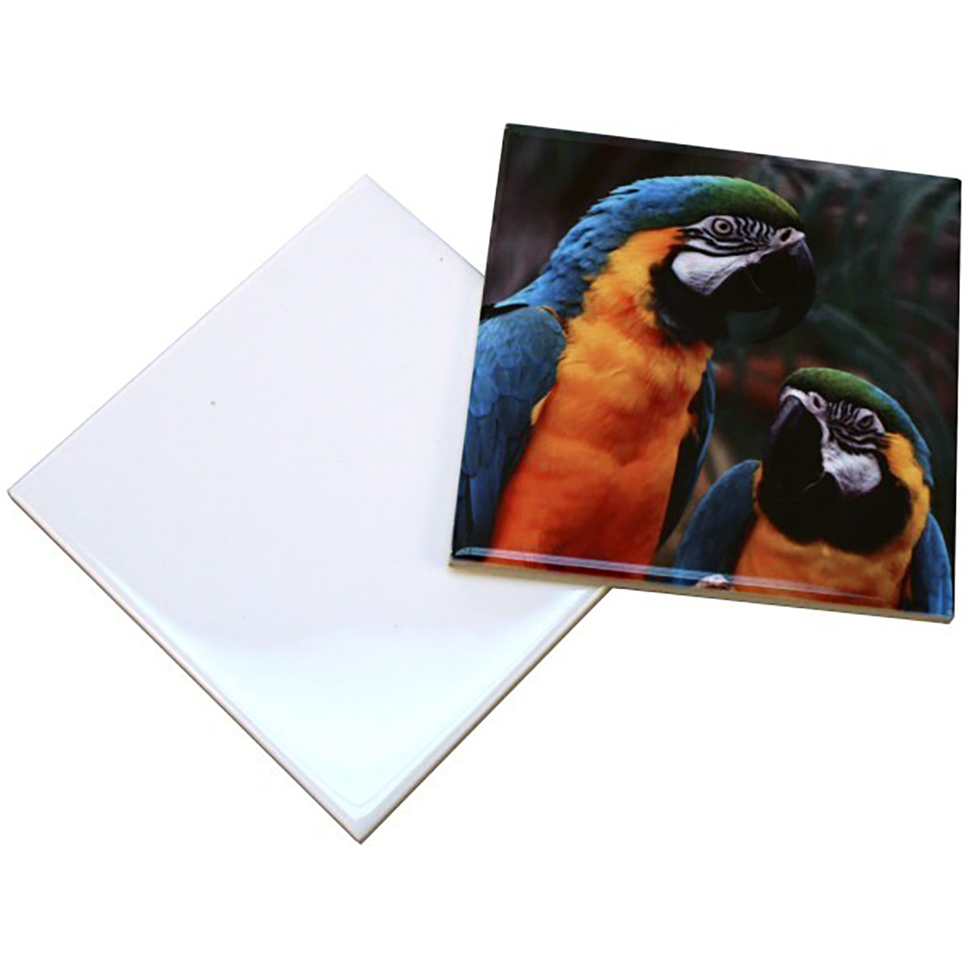 MATTONELLA-IN-CERAMICA-PERSONALIZZABILE-F-to-cm-10-8x10-8-extra-big-7364